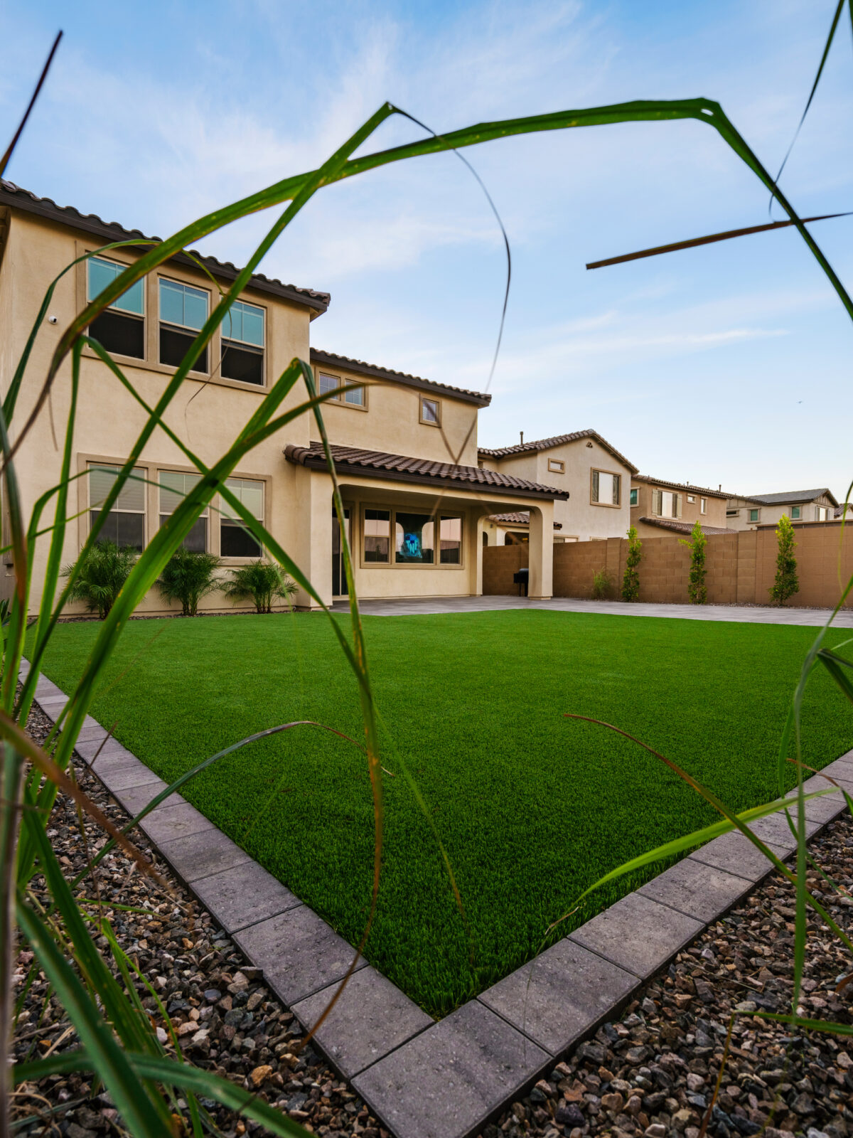 Alpine Turf Project