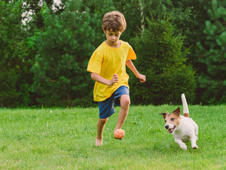 A young boy and dog kick a soccer ball on synthetic turf.