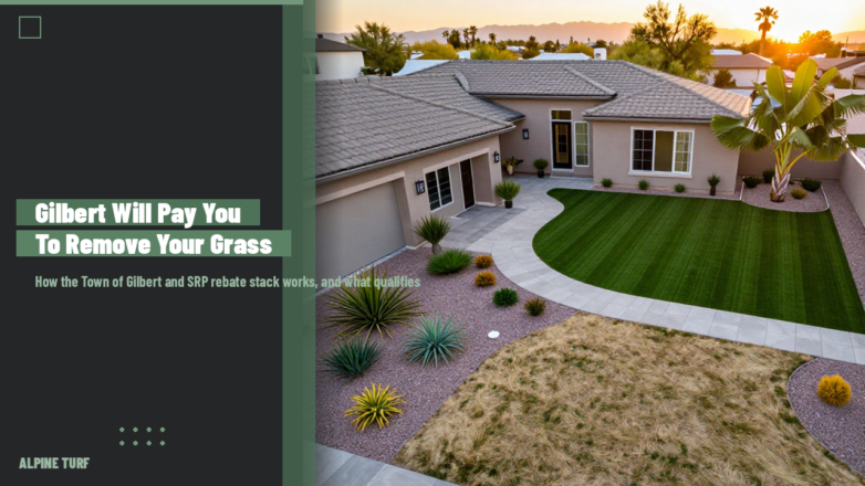 Gilbert Grass Removal Incentive 2026: What the City Pays